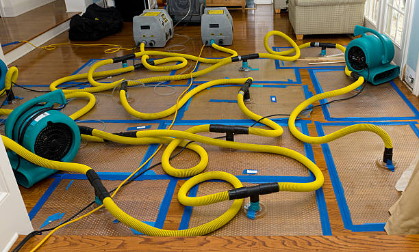 Professional Basement Flood Cleanup technician working in Kennesaw, GA